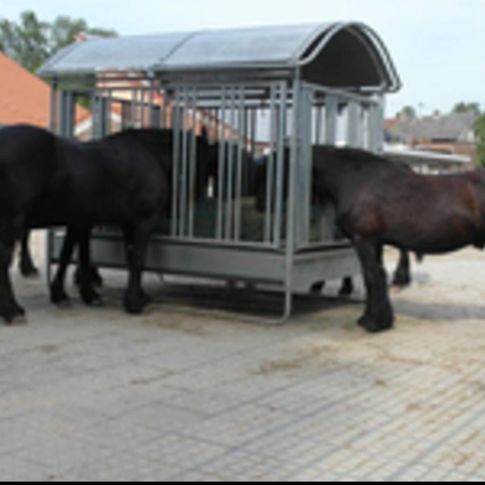 Heste spiser fra et metalfodringshus